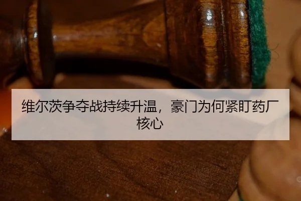 维尔茨争夺战持续升温，豪门为何紧盯药厂核心